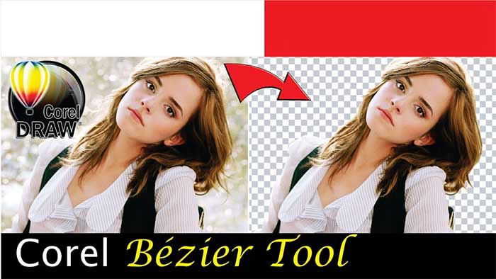 استفاده از ابزار Bezier و Shape