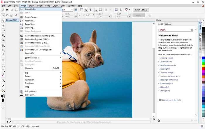 استفاده از Corel PHOTO-PAINT و Cutout Lab